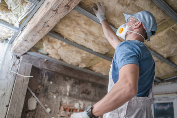 Best Affordable Insulation Services  in , AR