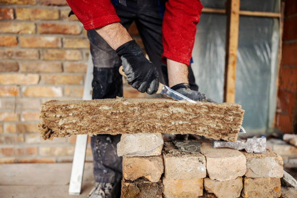 Best Insulation Contractor Near Me  in , AR